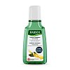 RAUSCH Coffein-Shampoo mit Ginseng
