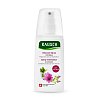 RAUSCH Volumen-Spray mit Malve