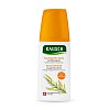 RAUSCH Feuchtigkeits-Spray mit Weizenkeim