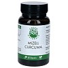 GREEN NATURALS Mizell Curcuma 1040 mg hochdosiert