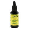CHLOROPHYLL Tropfen