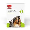 PHA GelenkVital Erg.Futterm.Pulver f.Hunde/Katzen