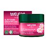 WELEDA glättende Nachtpflege Wildrose & weißer Tee