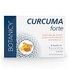 CURCUMA FORTE Kapseln