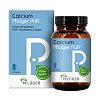 CALCIUM PFLÜGER PUR 100 mg Kapseln