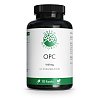 GREEN NATURALS OPC 1000mg aus Traubenkern-Extr.Kps