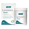NUPURE probadent forte 3 Bakt.Kult.5 Mrd.KBE Lut.