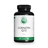 GREEN NATURALS Coenzym Q10 250 mg vegan hochdos.