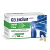 GELENCIUM MSM Plus Kapseln+Vitamin C hochdosiert