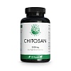 GREEN NATURALS Cholesterin Chitosan 3g vegan Kaps.