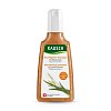 RAUSCH Feuchtigkeits-Shampoo mit Weizenkeim