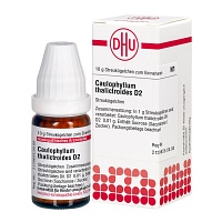 CAULOPHYLLUM THALICTROIDES D 2 Globuli - 10g