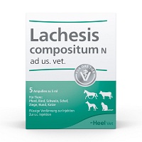 LACHESIS COMPOSITUM N ad us.vet.Ampullen - 5St