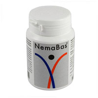 NEMABAS Tabletten - 600St - Für Säurebasenhaushalt