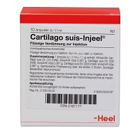 CARTILAGO suis Injeel Ampullen - 10St