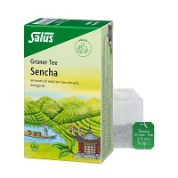 GRÜNER TEE Bio Salus Filterbeutel - 15St