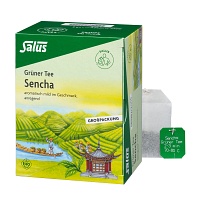 GRÜNER TEE Bio Salus Filterbeutel Großpackung - 40St