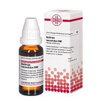 BOTHROPS lanceolatus D 60 Dilution - 20ml