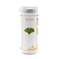 GINKGO KAPSELN - 90St