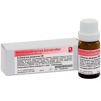 ECHINACEA PURPUREA D 6 Globuli - 10g
