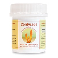 CORDYCEPS SINENSIS Kapseln - 100St