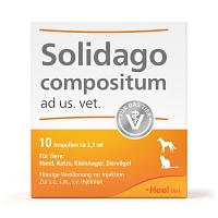 SOLIDAGO COMPOSITUM ad us.vet.Ampullen - 10St - Heel