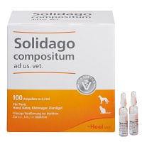 SOLIDAGO COMPOSITUM ad us.vet.Ampullen - 100St