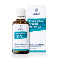 BRYOPHYLLUM ARGENTO cultum D 2 Dilution - 50ml - Beruhigung & Schlafen