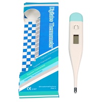 FIEBERTHERMOMETER digital - 1St