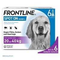 FRONTLINE Spot on H 40 Lösung f.Hunde - 6St - Tierarzneimittel