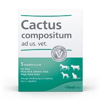 CACTUS COMPOSITUM ad us.vet.Ampullen - 5St