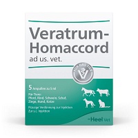 VERATRUM HOMACCORD ad us.vet.Ampullen - 5St