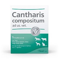 CANTHARIS COMPOSITUM ad us.vet.Ampullen - 5St