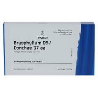 BRYOPHYLLUM D 5/Conchae D 7 Ampullen - 48X1ml