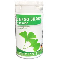 IMOVIT Ginkgo Biloba Kapseln - 60St