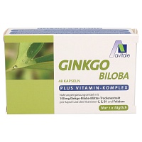 GINKGO 100 mg Kapseln+B1+C+E - 48St - Gedächtnisstärkung