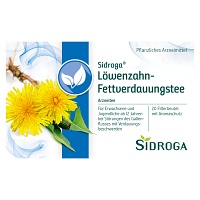 SIDROGA Löwenzahn Tee Filterbeutel - 20X1.5g - Heilkräutertees