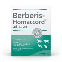 BERBERIS HOMACCORD ad us.vet.Ampullen - 5X5ml