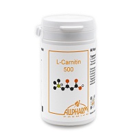 L-CARNITIN 500 mg Kapseln - 60St