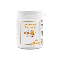 CHONDROITIN GLUCOSAMIN Kapseln - 120St
