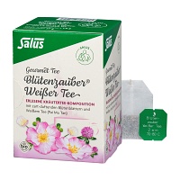 WEISSER TEE Blütenzauber Bio Salus Filterbeutel - 15St