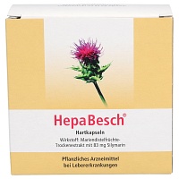 HEPABESCH Hartkapseln - 100St - Leber & Galle