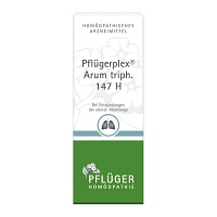 PFLÜGERPLEX Arum triph.147 H Tropfen - 50ml