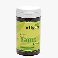 YAMS Kapseln 250 mg Yamspulver - 60St