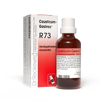 CAUSTICUM-GASTREU R73 Tropfen zum Einnehmen - 50ml