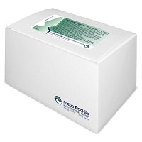 METASOLIDAGO S Injektionslösung - 50X2ml