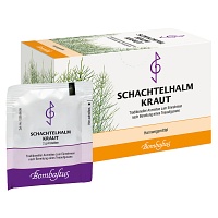 SCHACHTELHALMKRAUT Tee Filterbeutel - 20X2g - Heilkräutertees