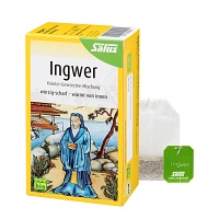 INGWER KRÄUTER-GEWÜRZTEE Salus Filterbeutel - 15St