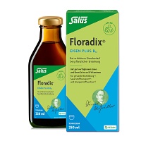 FLORADIX Eisen plus B12 vegan Tonikum - 250ml