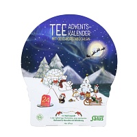 TEE ADVENTSKALENDER Salus Filterbeutel - 24St
